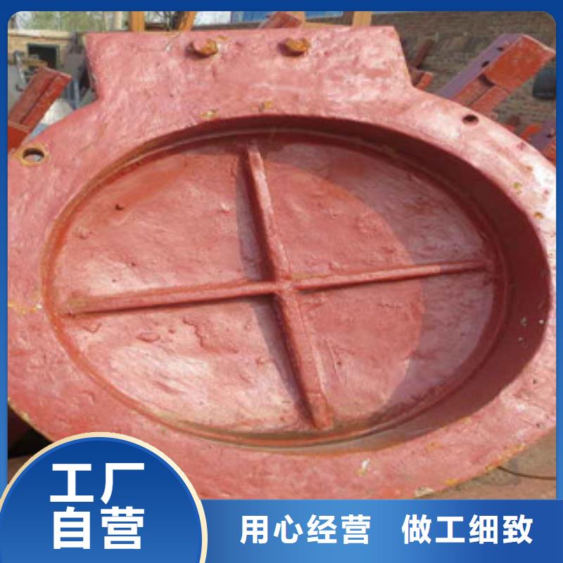 質(zhì)量優(yōu)的玻璃鋼拍門現(xiàn)貨廠家