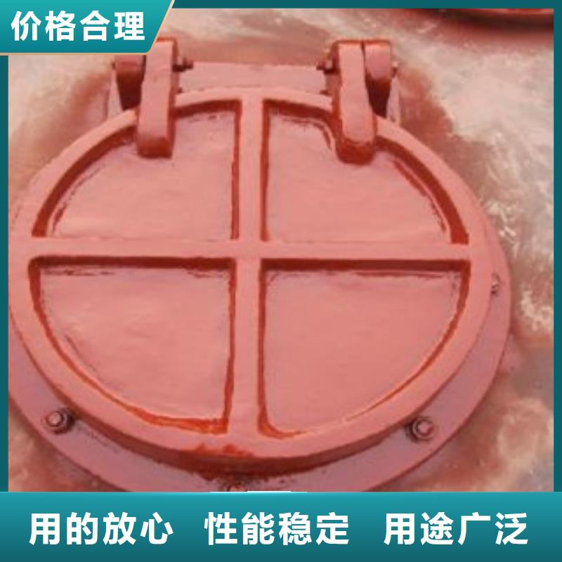 規(guī)格齊全的鑄鐵拍門基地