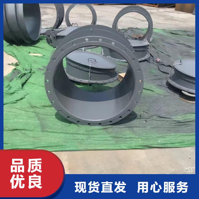 質(zhì)量優(yōu)的玻璃鋼拍門現(xiàn)貨廠家