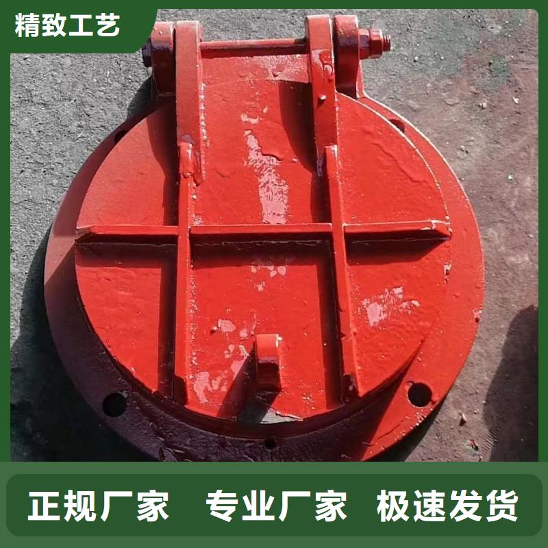 質(zhì)量優(yōu)的玻璃鋼拍門現(xiàn)貨廠家