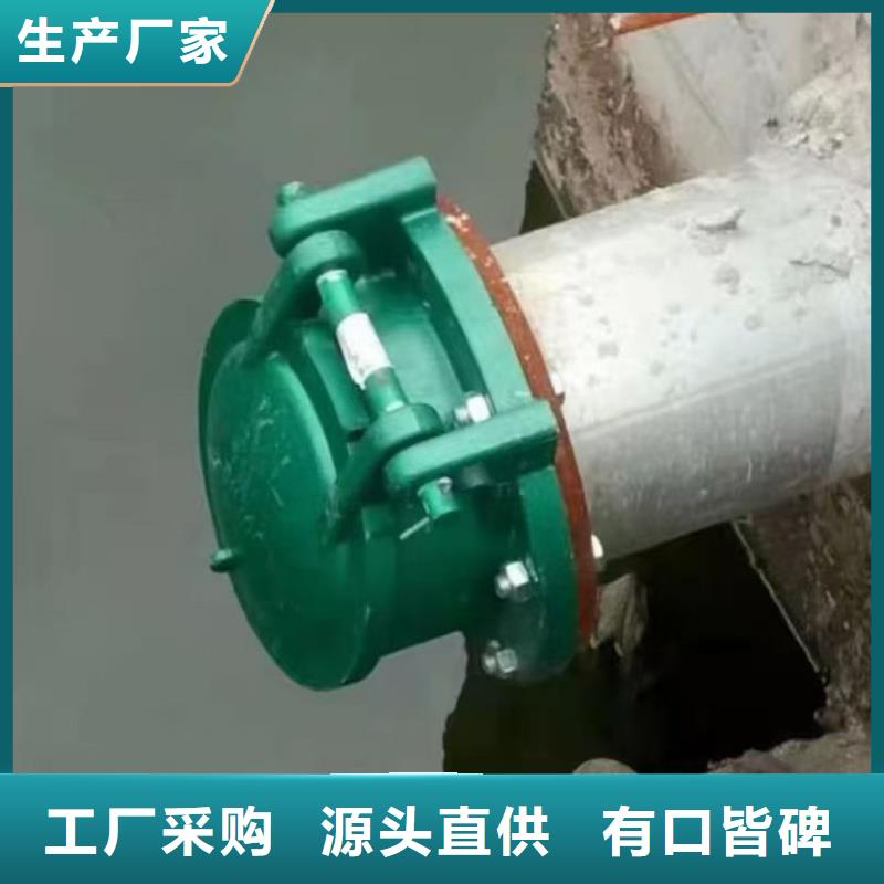 正規(guī)鑄鐵拍門廠家