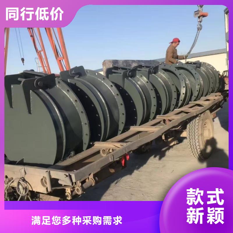 鋼制拍門現(xiàn)貨供應(yīng)-可定制