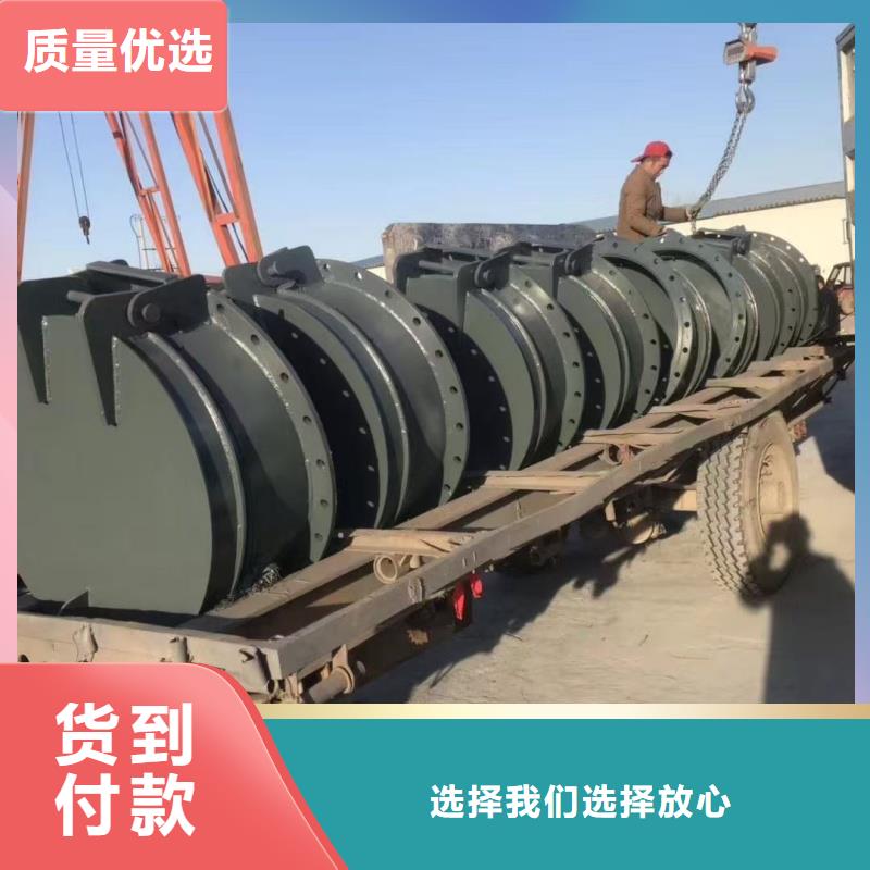 質(zhì)量可靠的鑄鐵拍門經(jīng)銷商