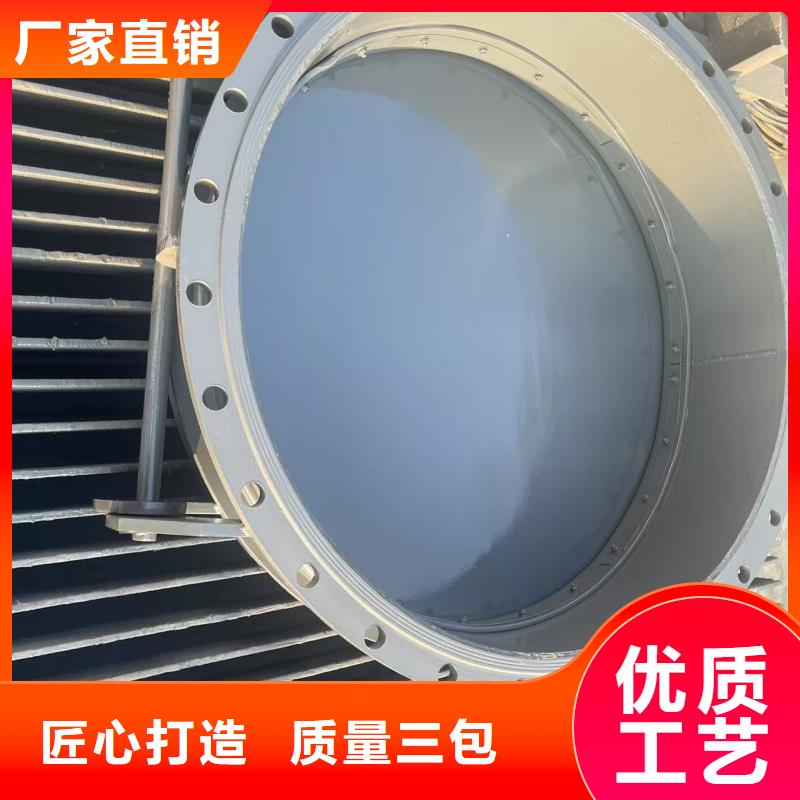 鋼制拍門品質(zhì)優(yōu)良