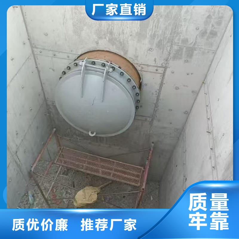 質(zhì)量優(yōu)的玻璃鋼拍門現(xiàn)貨廠家