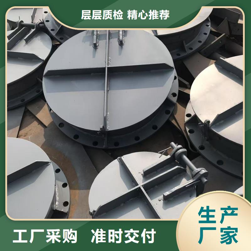 鋼拍門_生產(chǎn)廠家_品質(zhì)保證