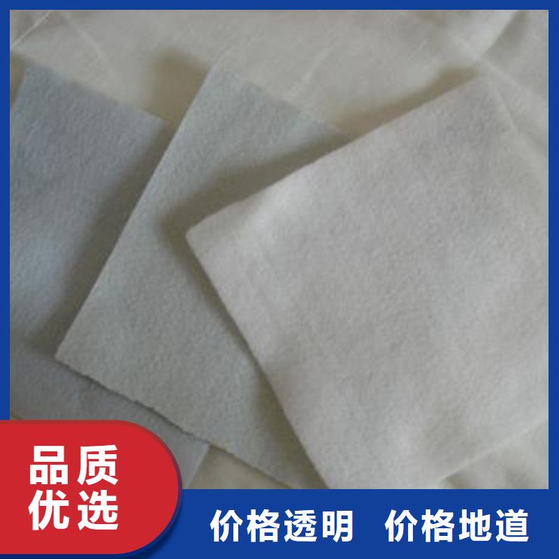 供应无纺长丝丙纶土工布（克重100gsm800gsm）