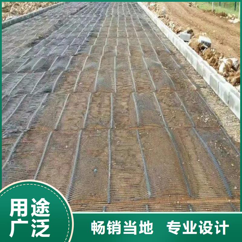 单向塑料土工格栅土工滤网源头工厂量大优惠