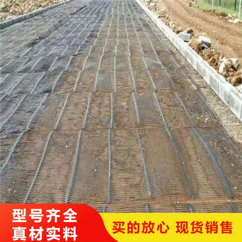 【单向塑料土工格栅长丝土工布源头直供】