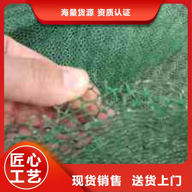 【三维植被网-复合土工膜价格实惠工厂直供】