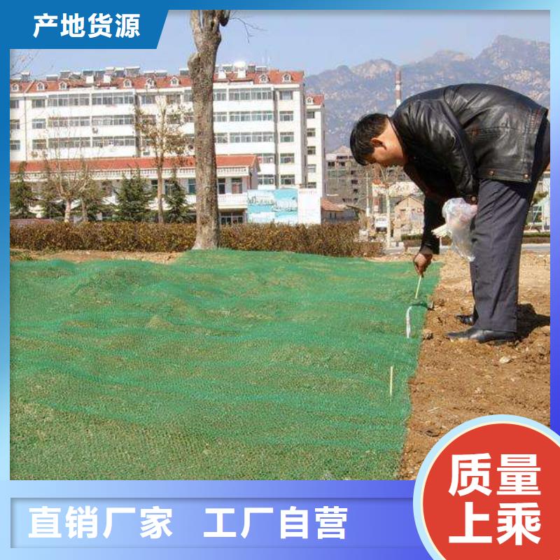 三维植被网双向塑料土工格栅买的放心安兴用的舒心