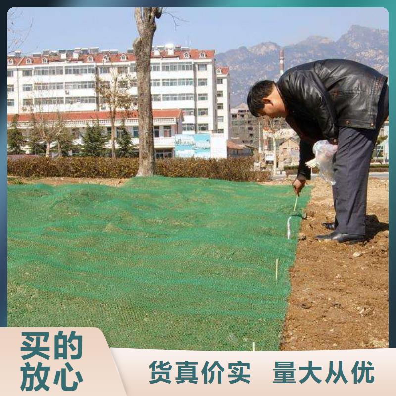 【三维植被网】涤纶土工格栅现货销售