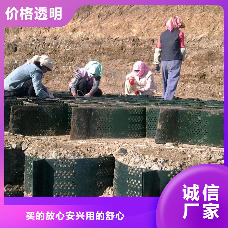 土工格室PVC防水卷材品质可靠