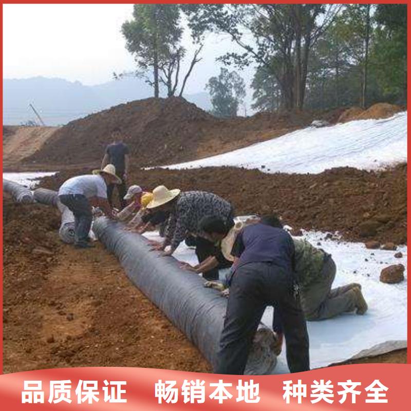 膨润土防水毯涤纶土工格栅符合国家标准