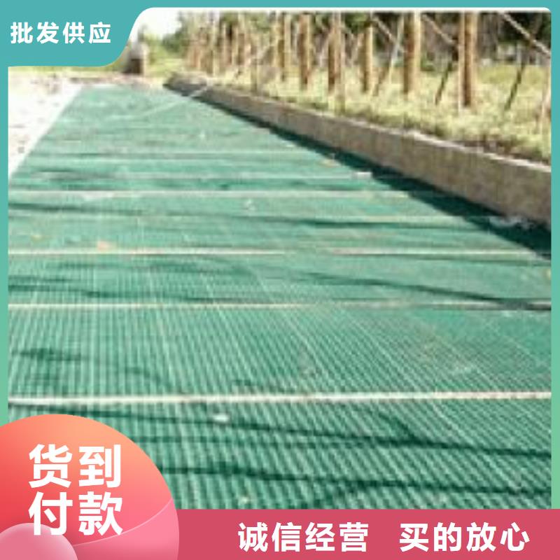 【植草格】双向塑料土工格栅一站式采购