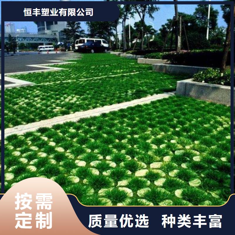 植草格短丝土工布实力优品