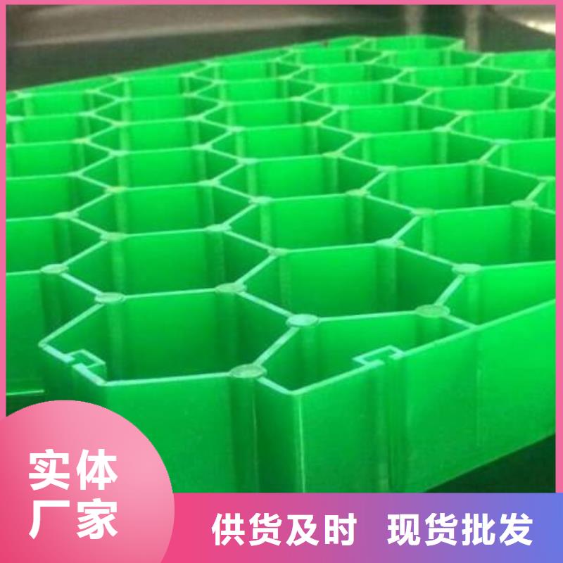 【植草格双向塑料土工格栅为品质而生产】