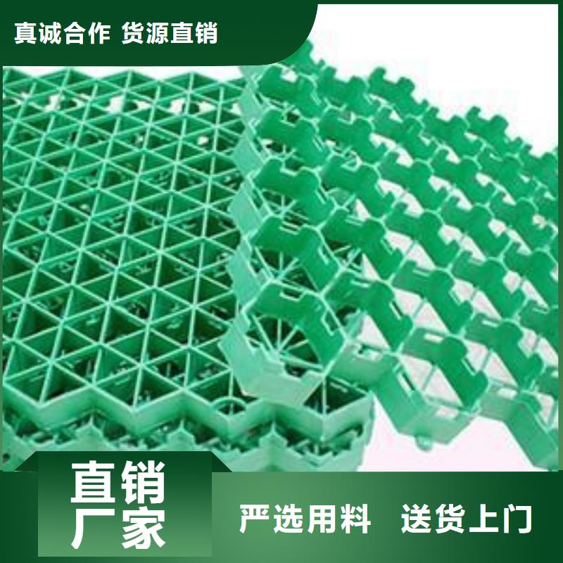 植草格【防渗膜】用心做好每一件产品