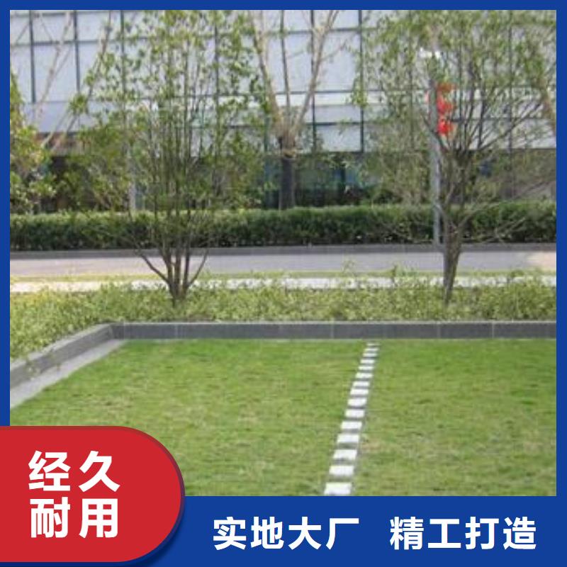 【植草格【三维土工网垫】信誉至上】