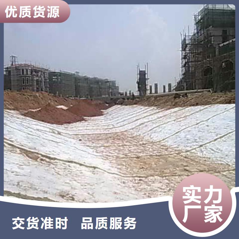 【膨润土防水毯】_双向塑料土工格栅专业厂家