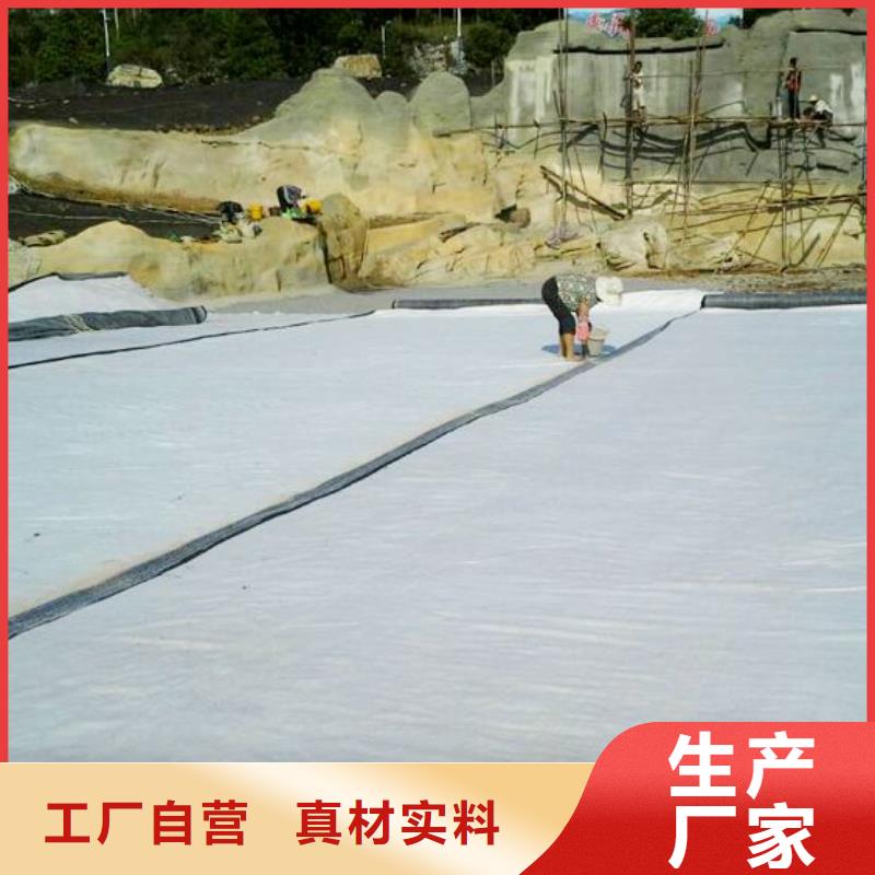 【膨润土防水毯】_双向塑料土工格栅专业厂家