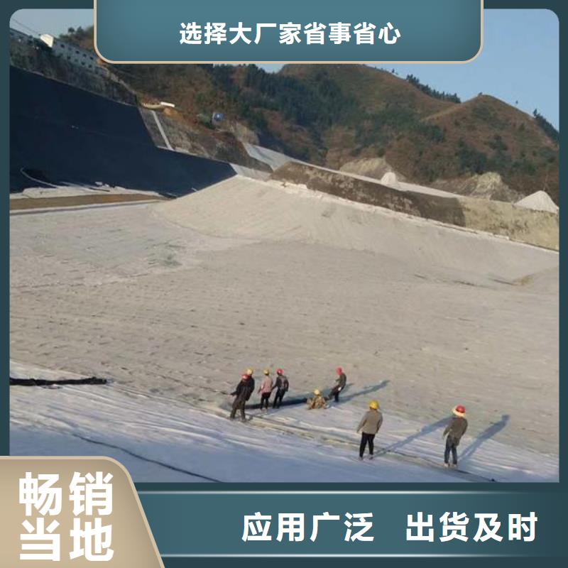 【膨润土防水毯】_双向塑料土工格栅专业厂家