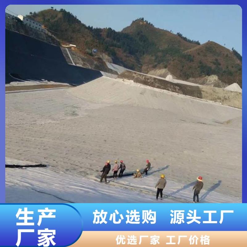 膨润土防水毯钢塑土工格栅多行业适用