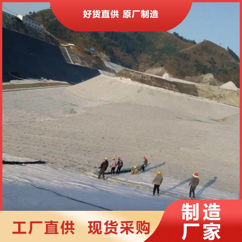 【膨润土防水毯】三维土工网垫定制批发