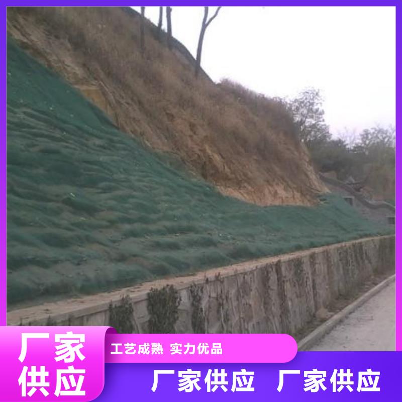 三维植被网钢塑土工格栅工厂现货供应