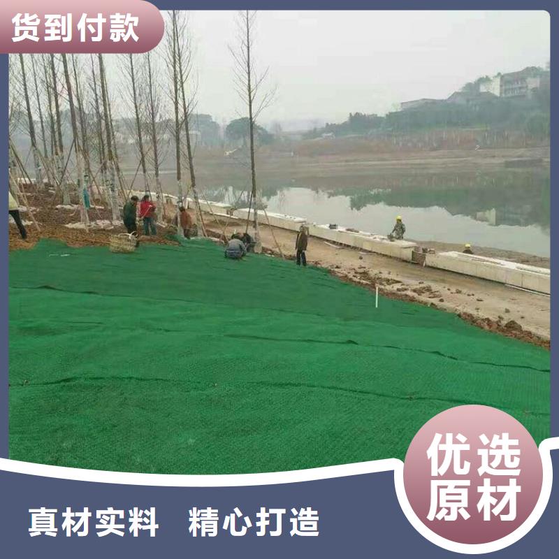 三维植被网塑料土工格栅多种规格可选