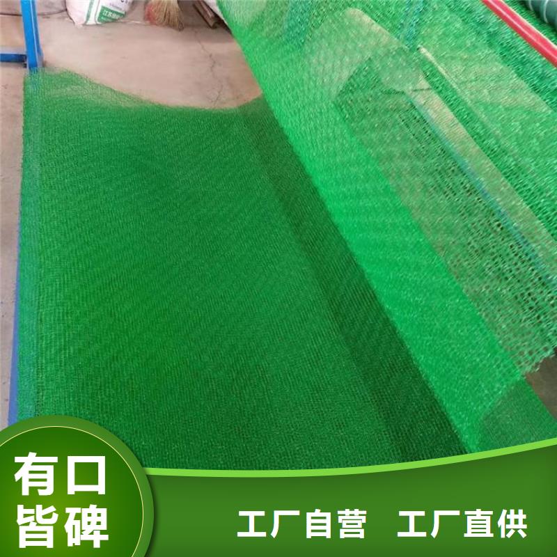 三维植被网【短丝土工布】用心经营