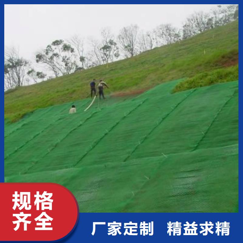 三维植被网护坡土工网质量优价格低