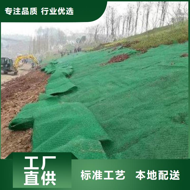 三维植被网_双向塑料土工格栅出厂严格质检