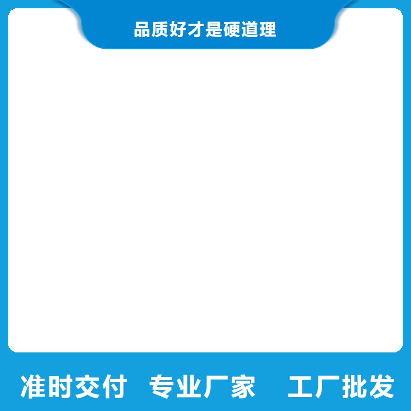 地磅仪表电子吊磅精益求精