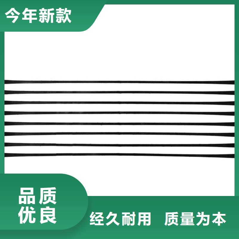 塑料养殖土工格栅定制可拉伸用单向塑料土工格栅塑料土工格栅