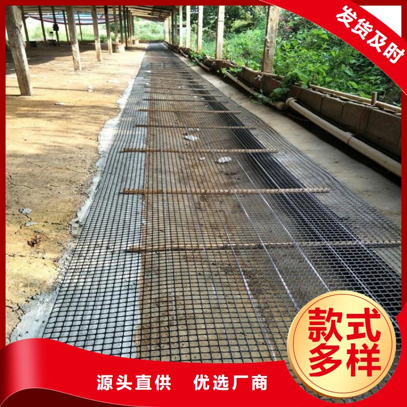 双向塑料土工格栅厂家案例