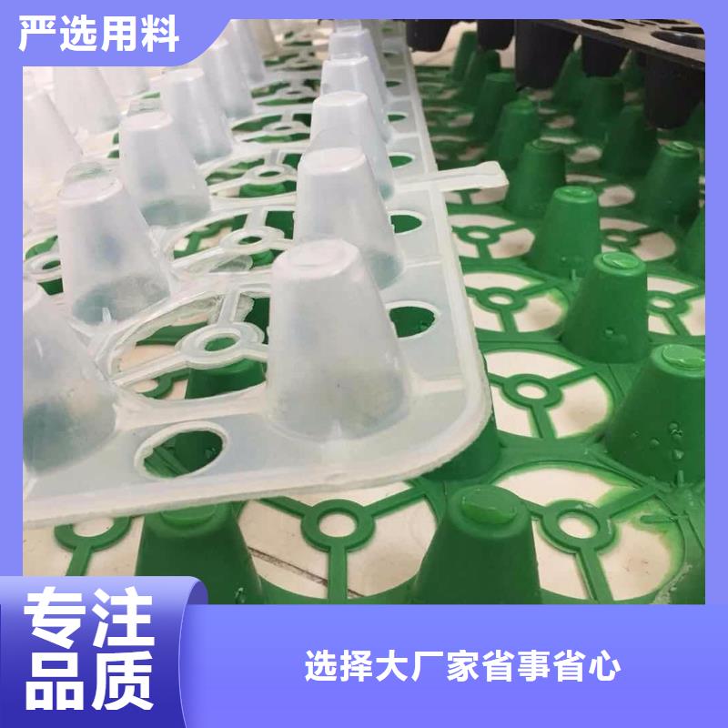 塑料排水板土工布批发极速发货