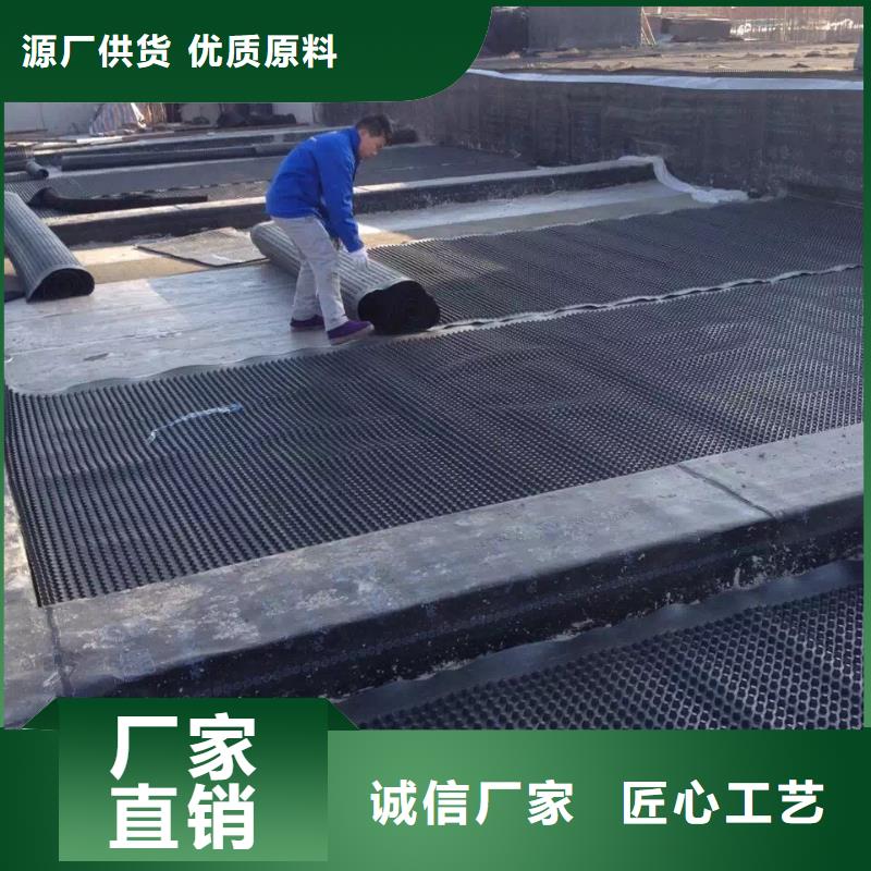 【塑料排水板】钢塑土工格栅厂家工艺精细质保长久