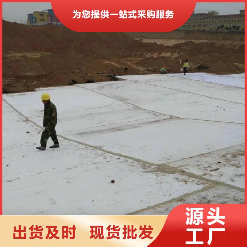 防水毯单向塑料土工格栅专注生产N年