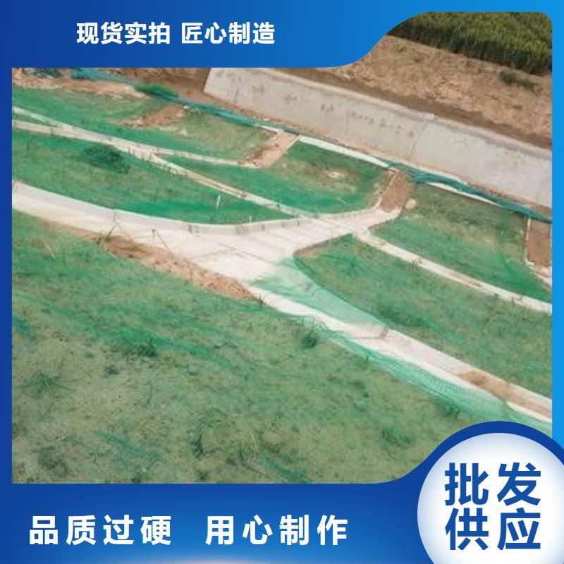 三维植被网-钢塑土工格栅厂家每一处都是匠心制作