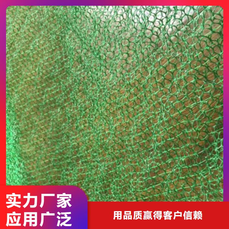 三维植被网-【玻纤土工格栅】当日价格