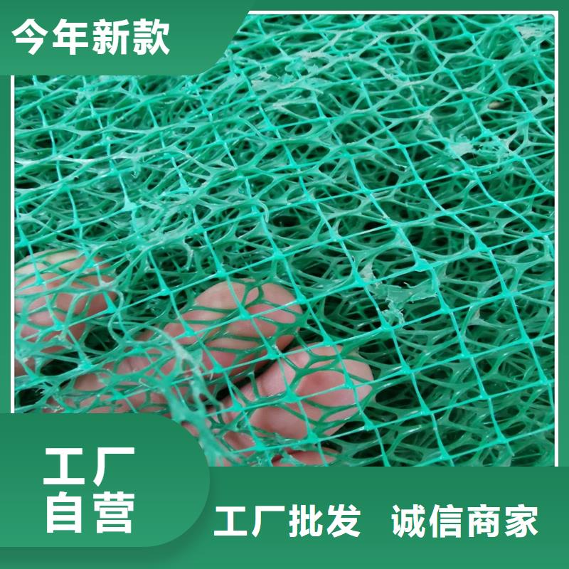 三维植被网土工席垫专业信赖厂家