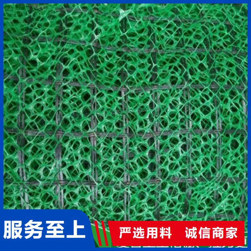 三维植被网-硬式透水管实力商家推荐