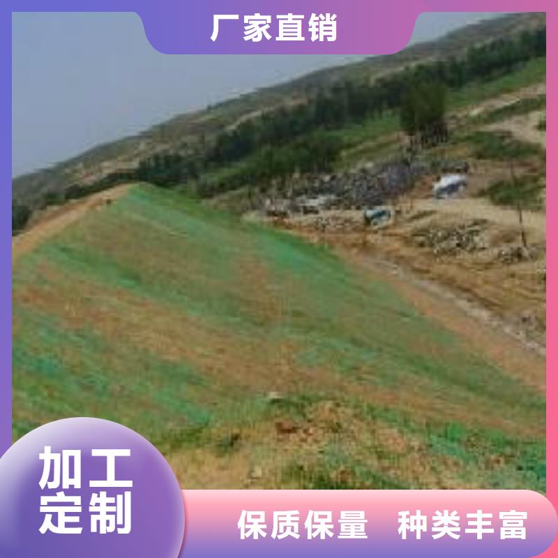 三维植被网-涤纶土工格栅厂家大量现货