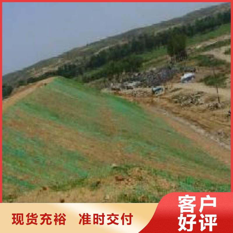 三维植被网_钢塑土工格栅厂家好品质选我们