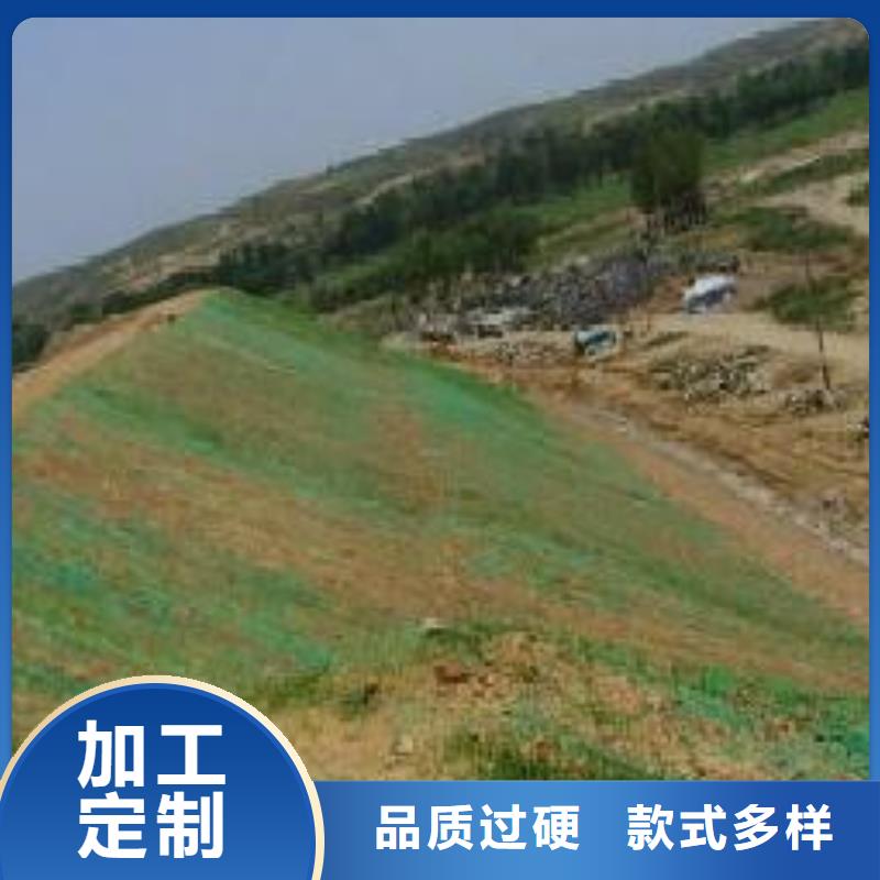 三维植被网,公路边坡植草绿化,三维土工网垫