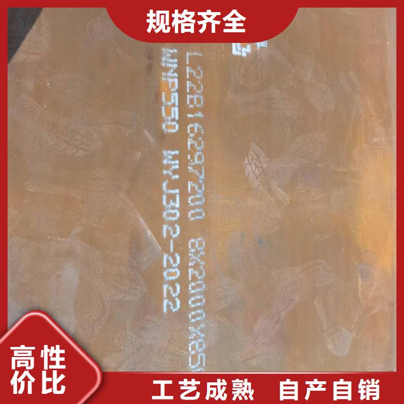 2200*12000*20mmQ355R容器版