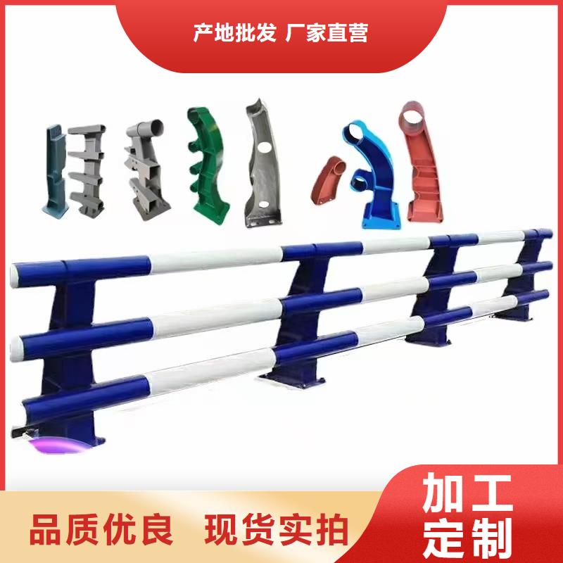 噴塑防撞護(hù)欄
實(shí)體大廠