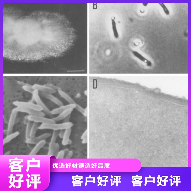 碳源在线报价