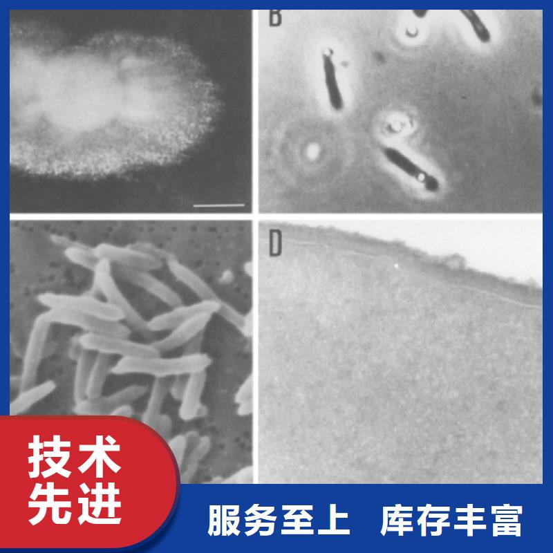 碳源生产厂家质量材质上乘厂家联系方式